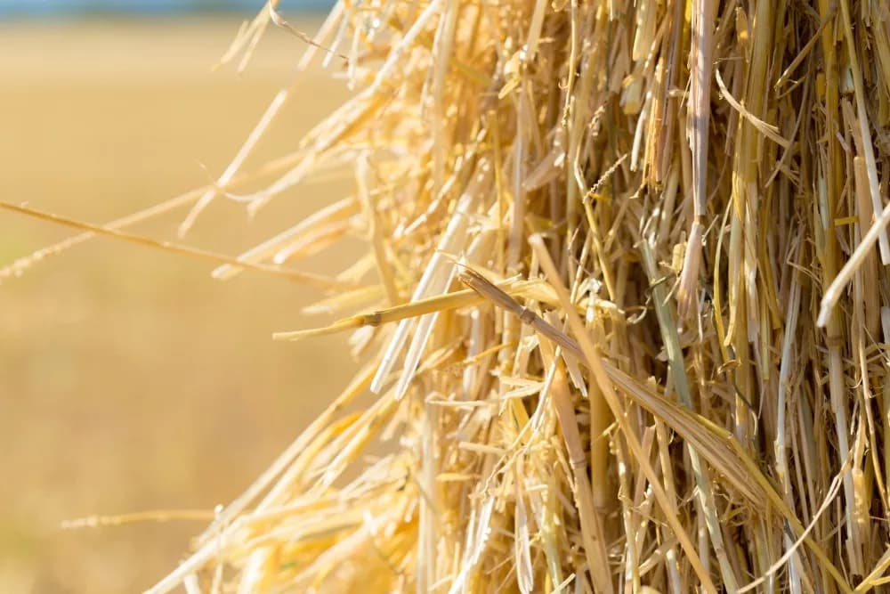 Jak zrobić pellet ze słomy - proste kroki do ekologicznego paliwa