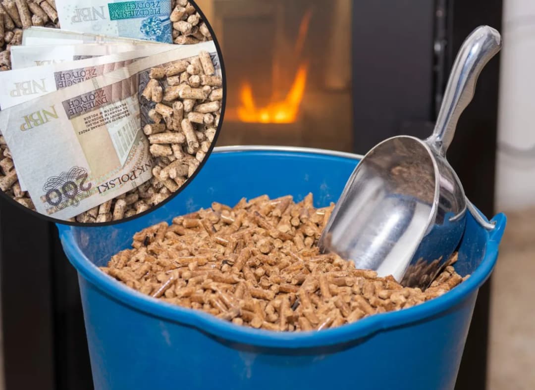 Ile kosztuje tona pelletu? Sprawdź aktualne ceny i oszczędź na zakupie!
