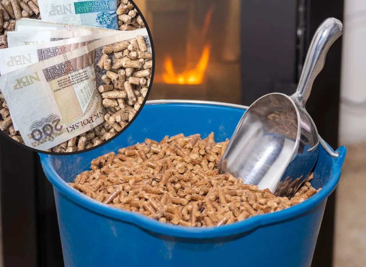 Ile kosztuje pellet? Zaskakujące ceny i co wpływa na ich wzrost